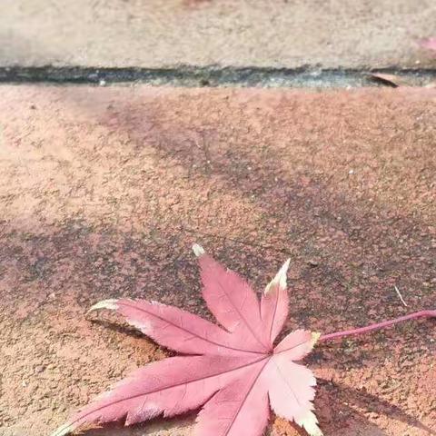 城阳区白沙湾学校