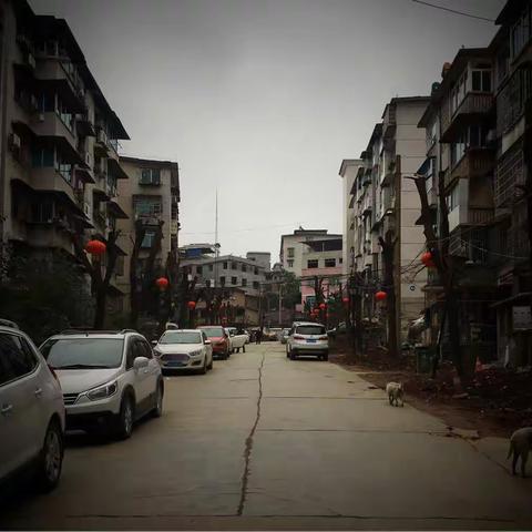 目光所至，都是家