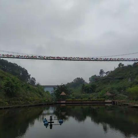 江津区仁沱小学5.2班2021年春季社会实践活动