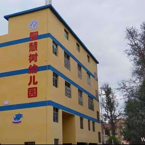 筑梦童心，最美相遇--于都县祁禄山镇智慧树🌲幼儿园2024秋季招生开始啦！