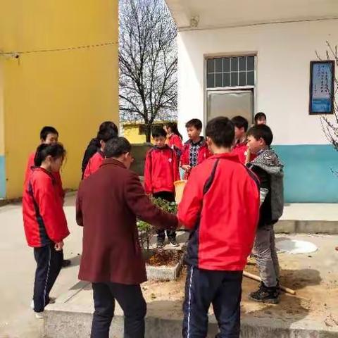 弘扬雷锋精神做新时代中学生——范镇中学学雷锋系列活动报道