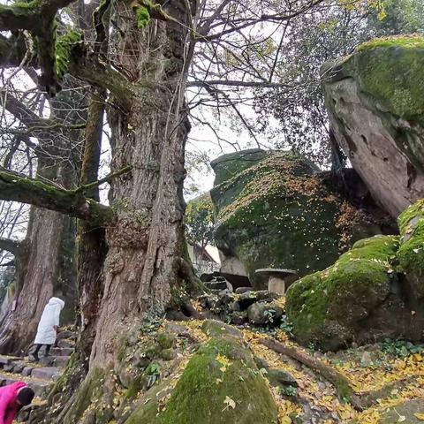 宜春温汤镇、南惹古村、仰山栖隐禅寺