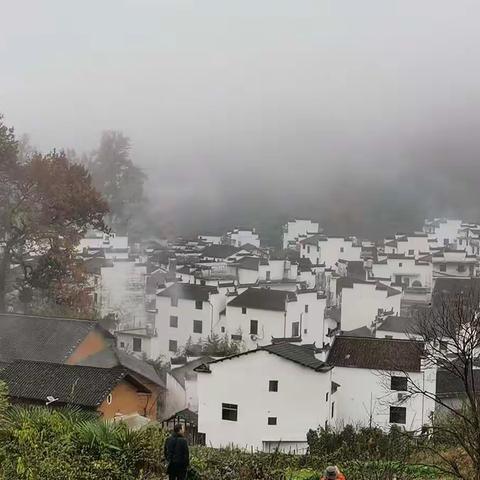 婺源石城、卧龙谷、彩虹桥、严田古樟园