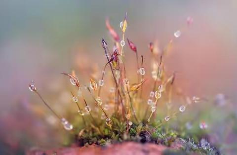 爱护绿色地球🌍 资源再生利用