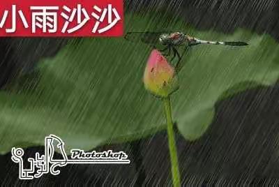 儋州市思源一年级停课不停学美术课推送《小雨沙沙》