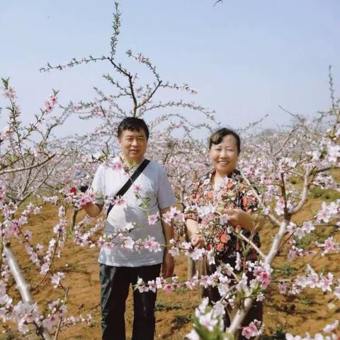 2019年5月3日丹东赏桃花园，东港游玩，挖海蛎子！