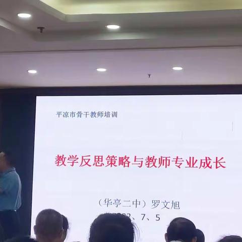 教学反思策略与教师专业成长