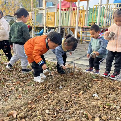 快乐种植，“蒜”你可爱——桥头幼儿园小一班  大蒜种植记