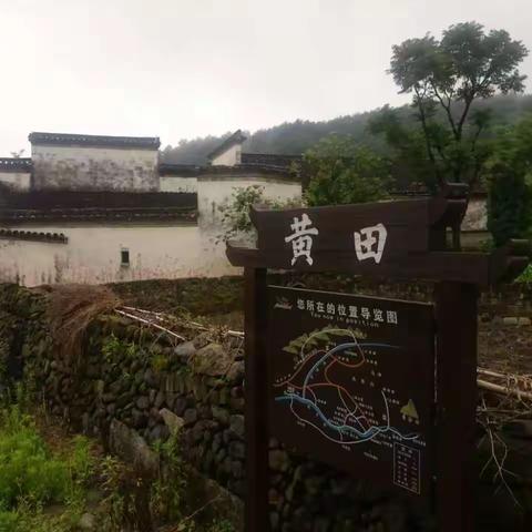 2020年4月17日，谷雨前又摄黄田。