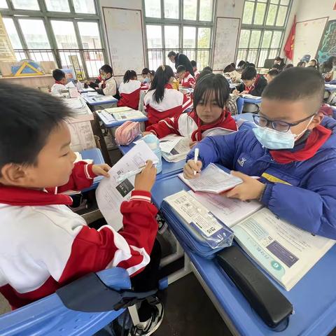 以研促教，共同成长——数学教研活动之《百分数的认识》