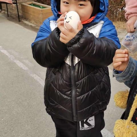 三月份的快乐分享～萌萌的小鸡从哪里来👀