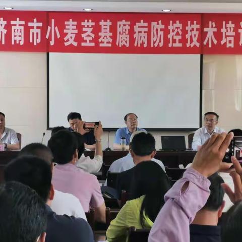 济南市召开“小麦茎基腐病防控技术”现场观摩暨培训会