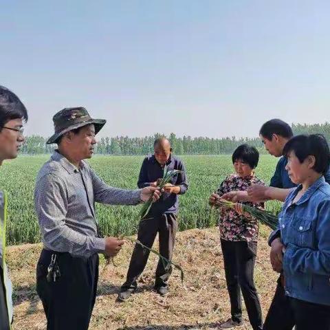 练好四项基本功 争做出彩植保人