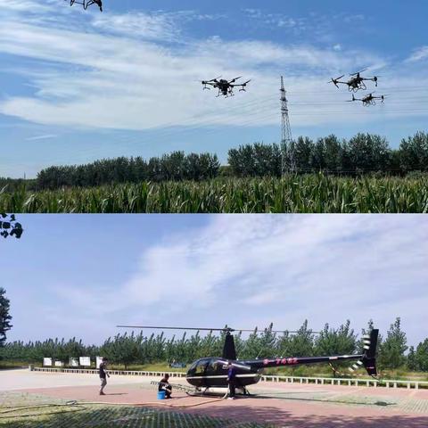 病虫统防统治示范 确保秋粮稳产增收