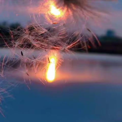 以研促教，“语”你同行—永昌学区李六小学