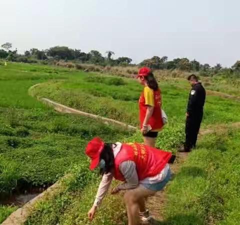 旧州镇禁毒办全面开展毒品原植物踏查和易制毒物品排查行动