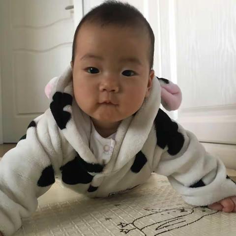 我家王子公主