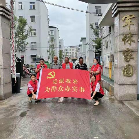 党建引领聚合力   为民清扫平安路