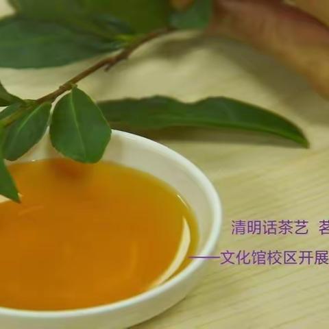 清明话茶艺         茗香满校园——文化馆校区开展茶文化公益活动