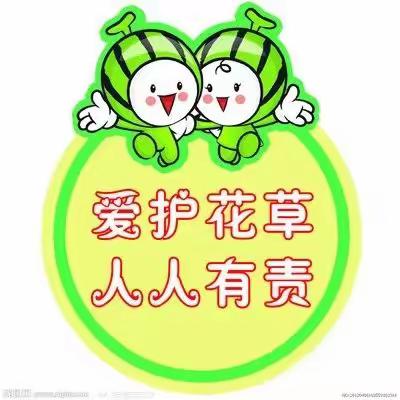 柏乡县西汪中心小学开展劳动教育实践活动——养护花草