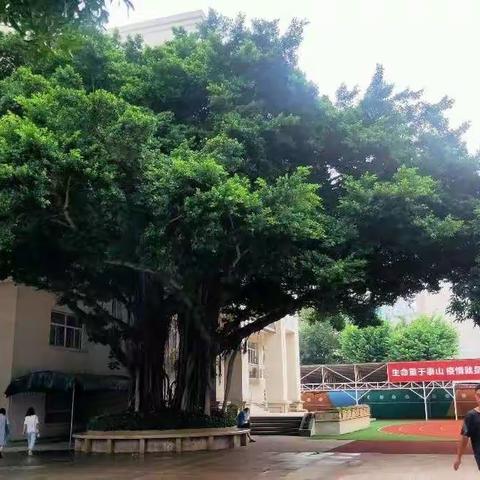 不负秋实踏歌行  且学且思且成长----- 赴福州市旗汛口幼儿园跟岗学习旅记