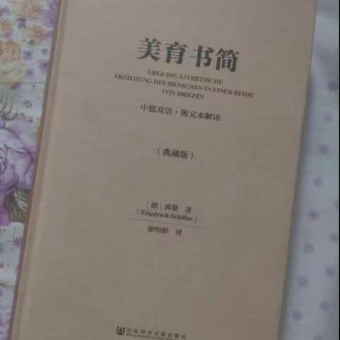 以美育人，以文化人——读席勒《美育书简》 中小学音乐教师团队假期读书分享 第6天 金源小学 韩佳韵