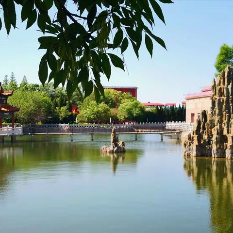 胜利油田小区掠影 —— 集输公司集萃苑