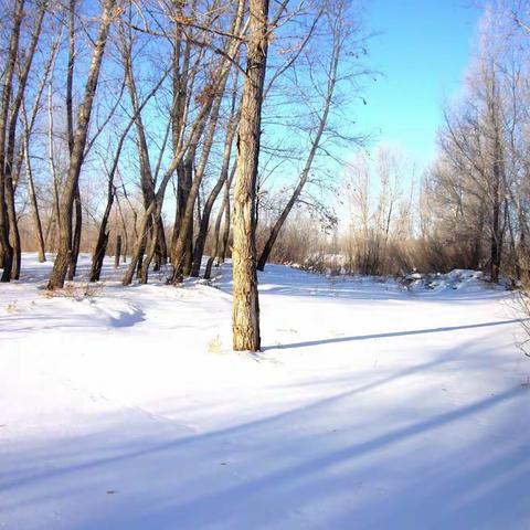 看北京冬奥白雪蓝天，忆哈国之旅冰天雪地——哈萨克斯坦冬天的雪