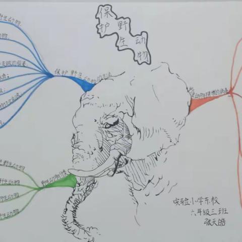 “人与动物如何和谐共生”项目式学习成果-思维导图