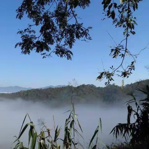 误入其途遇美景