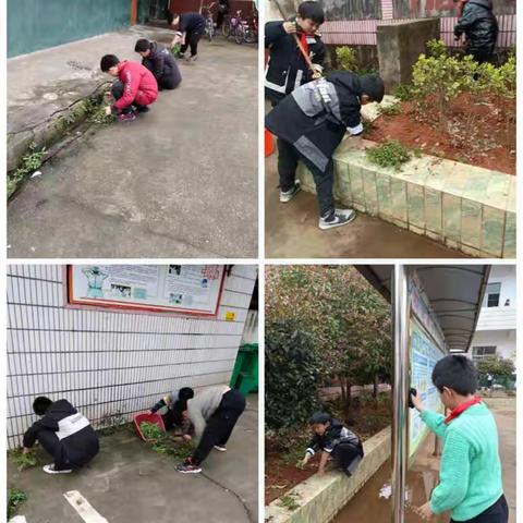 快乐大扫除，美丽新校园——徐家小学开学大扫除活动掠影