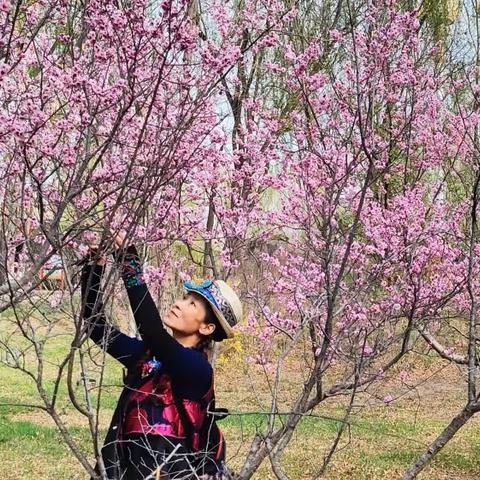 【美日一帽】心有半亩花田，藏于世俗人间！