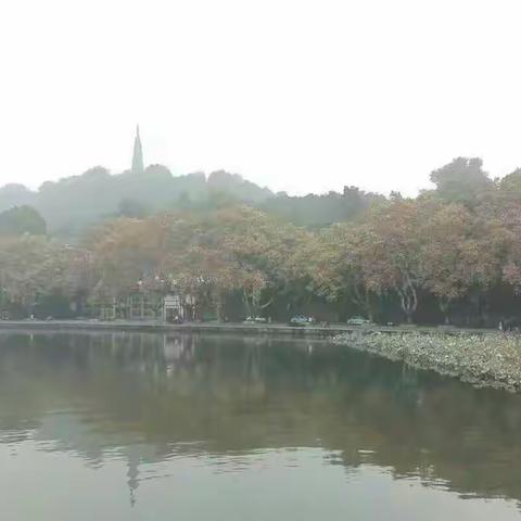 烟雨江南∽黄山杭州行