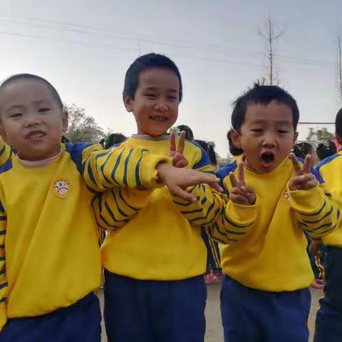 2018年11月23日智慧树幼儿园体操比赛