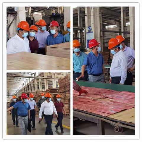 普洱市副市长、市级林长徐红斌深入宁洱县开展巡林工作