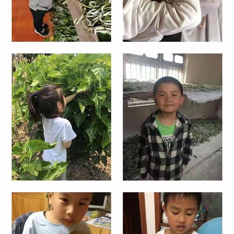 我们一起探究蚕宝秘密吧！