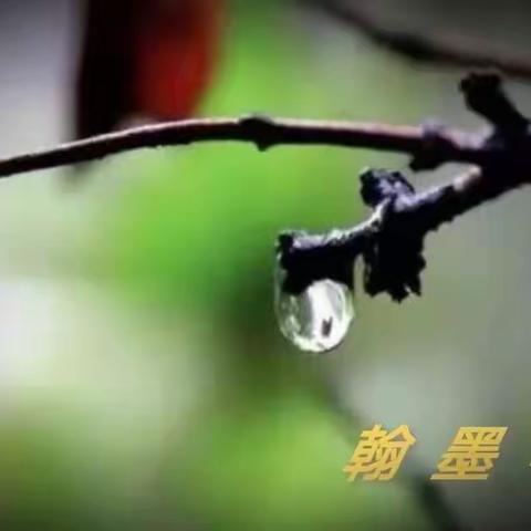 ——新春开学啦——