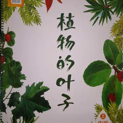 分享阅读-《植物的叶子》中班上册