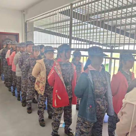 阳光少年，为梦启航——向日葵研学旅行（二）