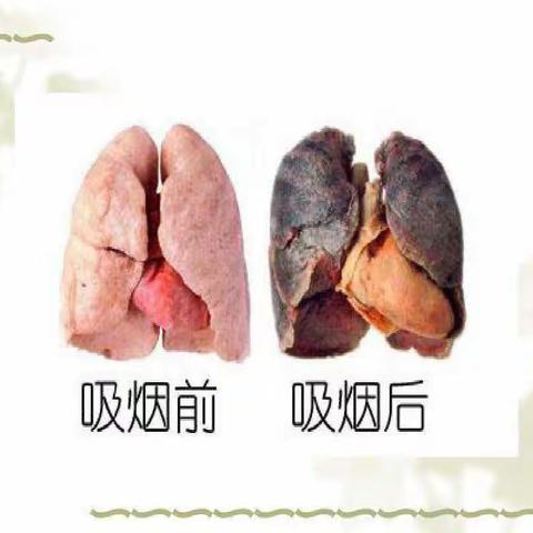 “送烟=送危害”—宝都街道北寺幼儿园禁烟控烟倡议书