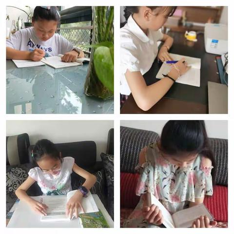 追梦者——周末阅读记      2020（一）