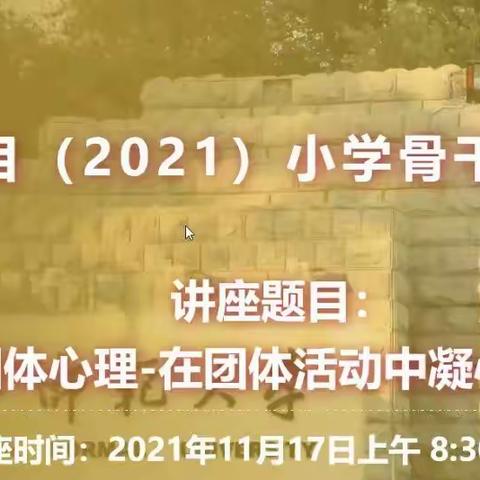 凝心聚力谋团队发展         教育政策助教师成长——2021年小学校长提升培训有感