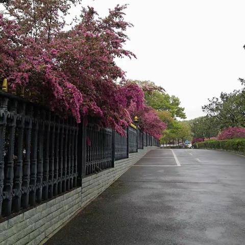 江山不老  国富民强  美丽中国