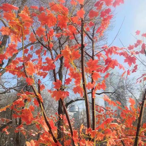 活着，说简单其实很简单，笑看得失才会海阔天空；心有透明才会春暖花开。人生如此而已～开心快乐每一天