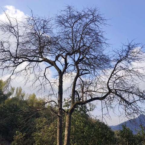 走起，我们一起去看风景！                               —记我的寒假徒步