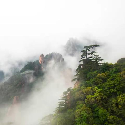 雨雾黄山