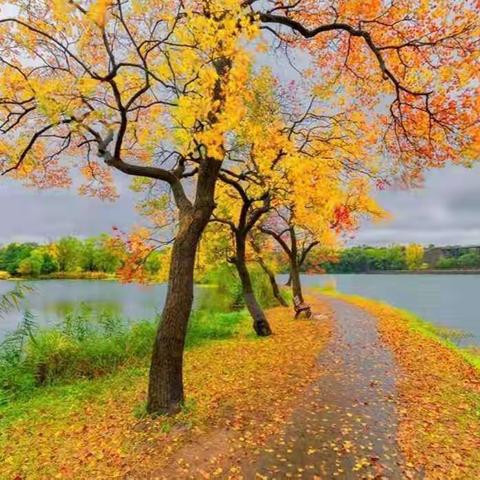 2021凯宇乒乓球俱乐部金箩米业中秋国庆团体赛颁奖暨聚餐