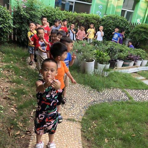 八月你好!愿所有美好与你们相伴!