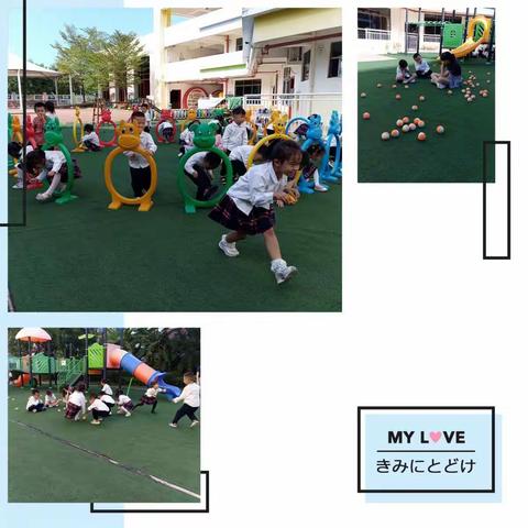 《红黄蓝绿》——洋浦第三幼儿园中三班11月主题活动小记