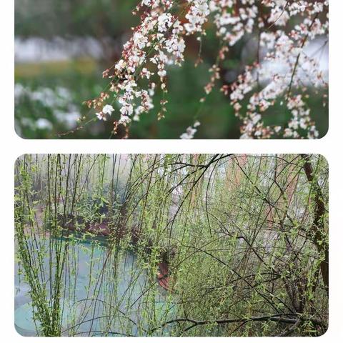 春雨润万物，开学正当时